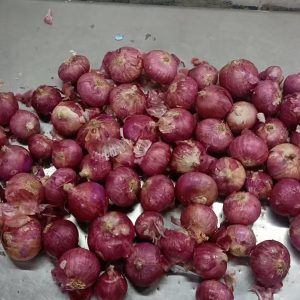 Indian Red Onion