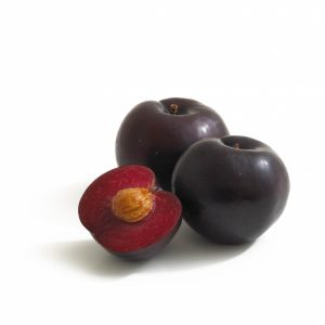 Black Splendor Plum