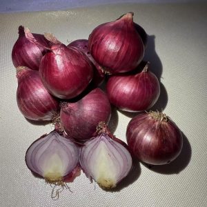 Indian Red Shallot
