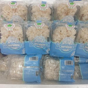 Cauliflower fungus (绣球菌)