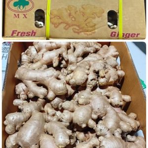 Thailand ginger