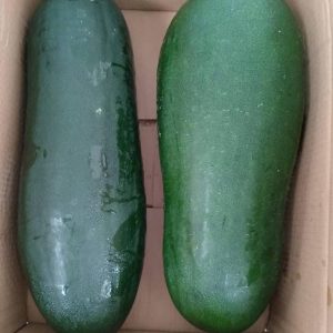 Wintermelon