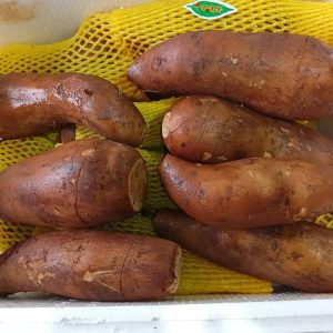 Snow Lotus Fruit (yacon)