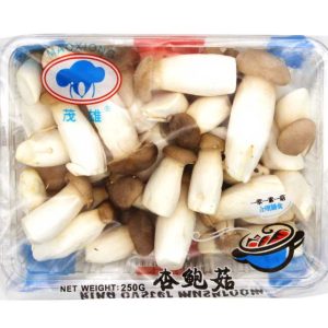 Mini King Oyster Mushroom