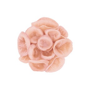 Pink Ear